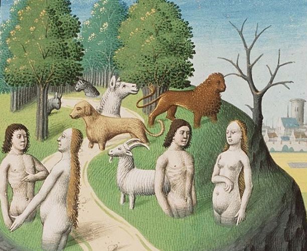 Animals and Man Emerging from the Earth